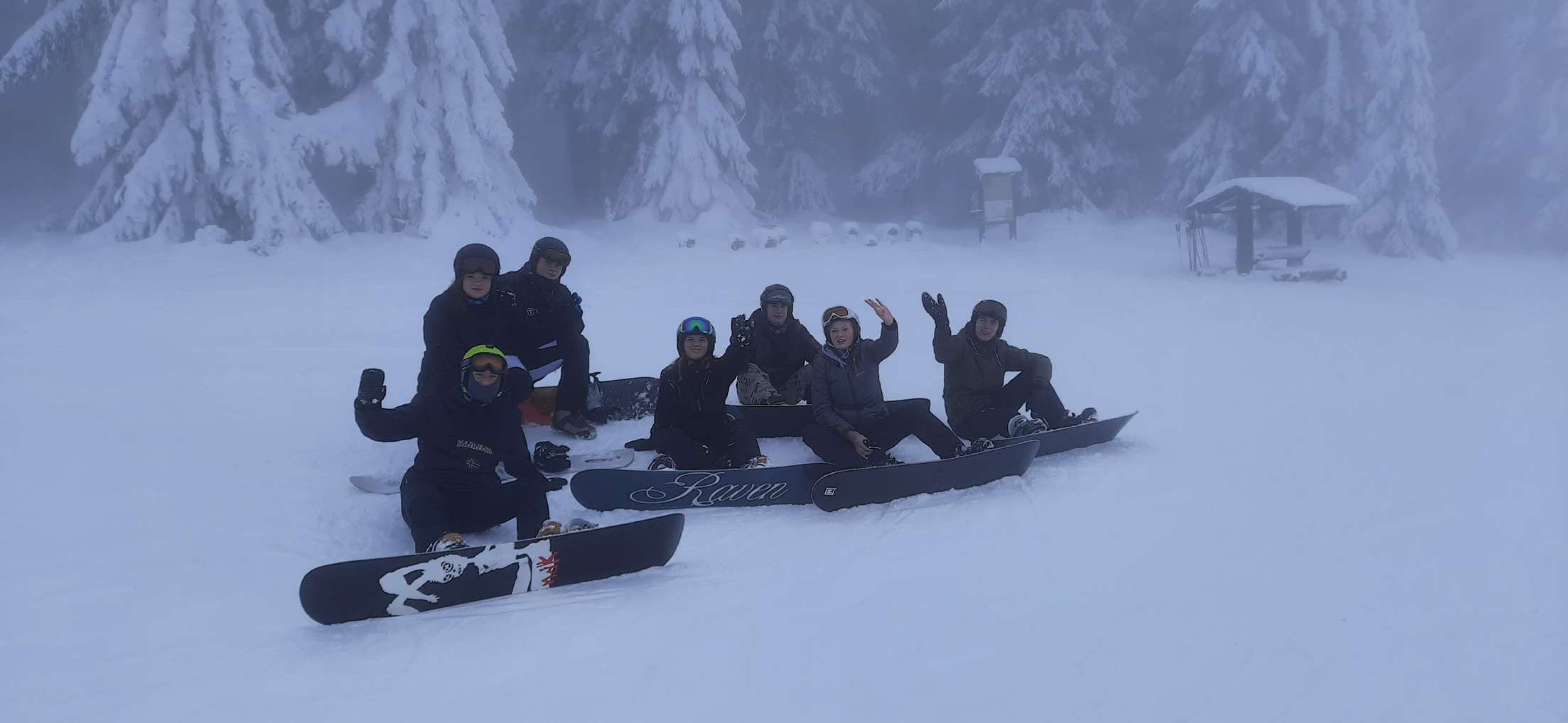 Snowboard 1
